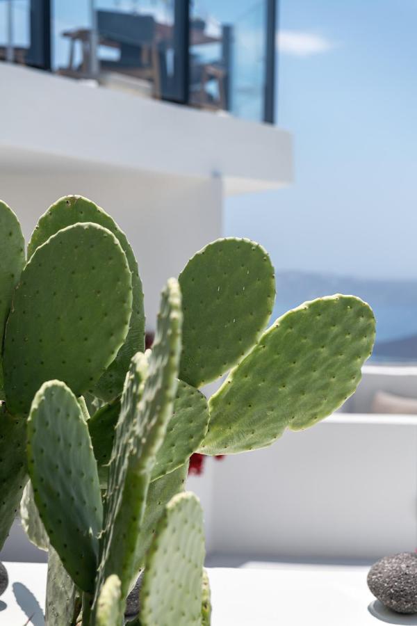 Akra Suites & Spa Imerovígli Extérieur photo